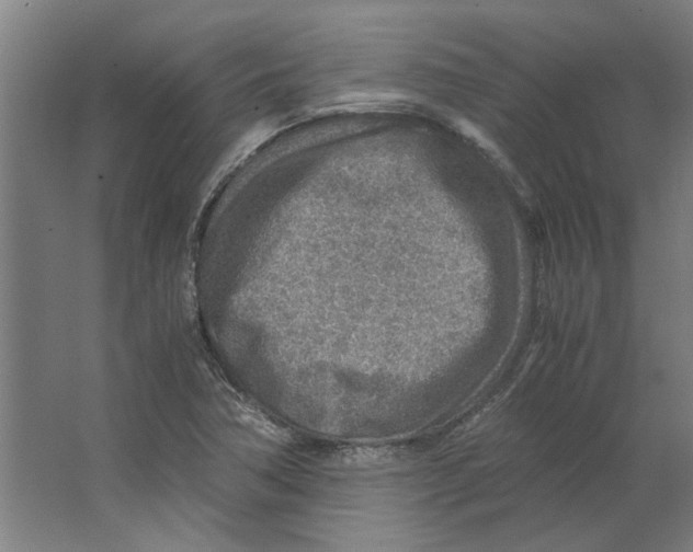 X0000063471362200602101729