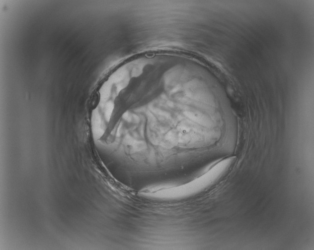 X0000063471363200602101729