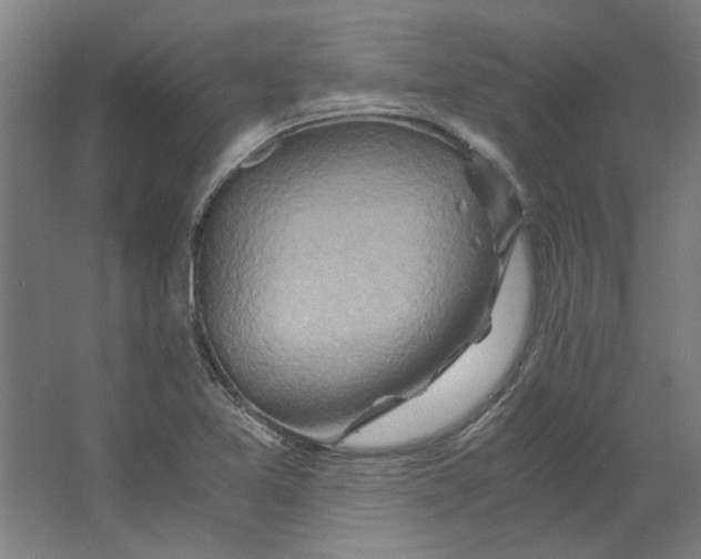 X0000063471365200602101729