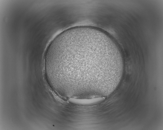 X0000063471366200602101729