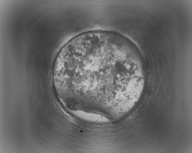 X0000063471367200602101729