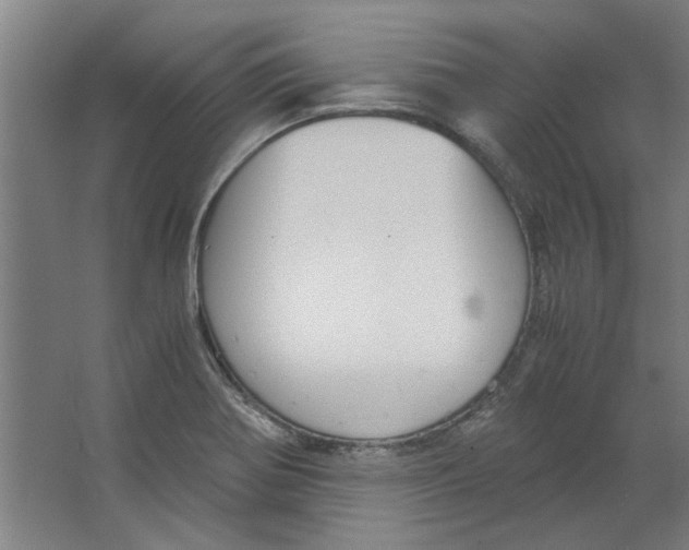 X0000063471370200602101729