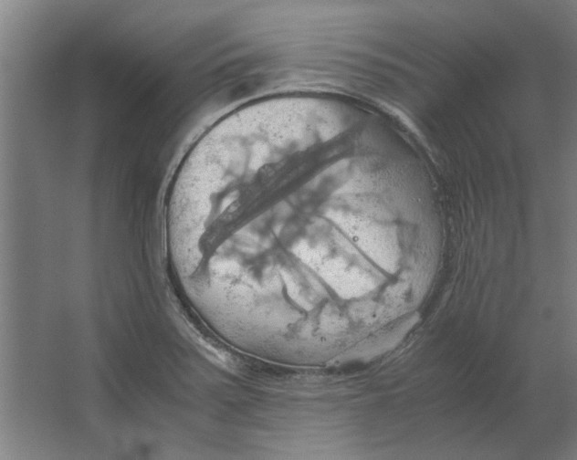 X0000063471371200602101729