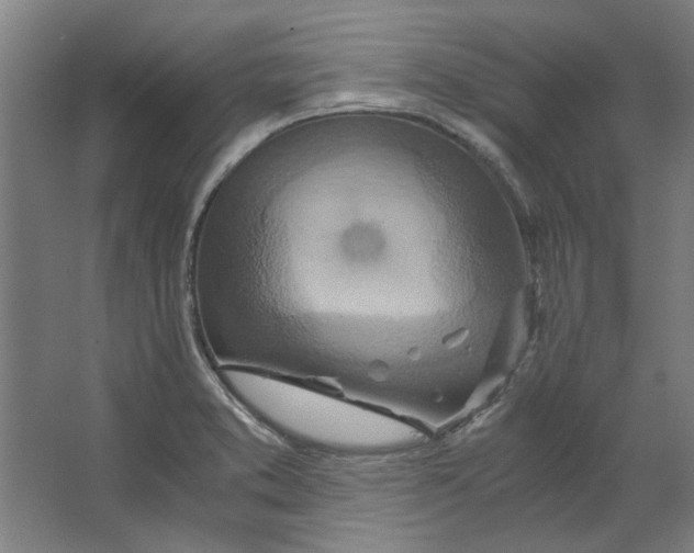 X0000063471373200602101729