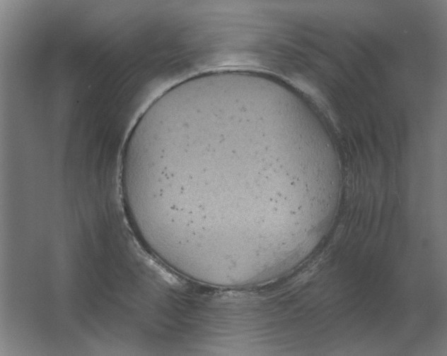 X0000063471374200602101729