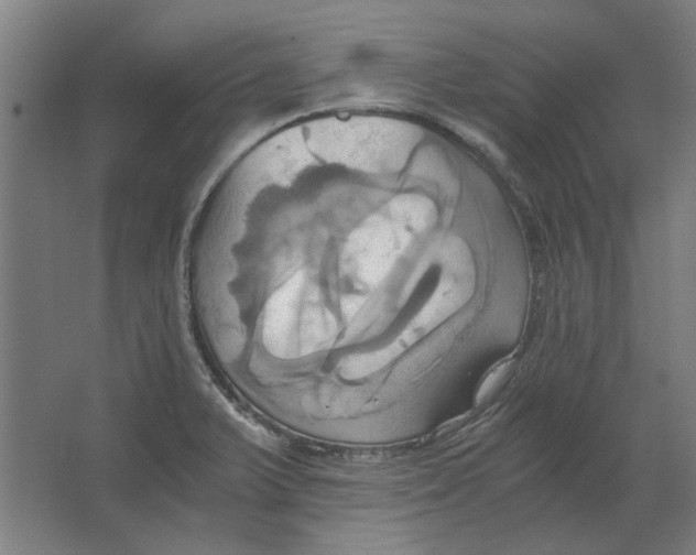 X0000063471375200602101729