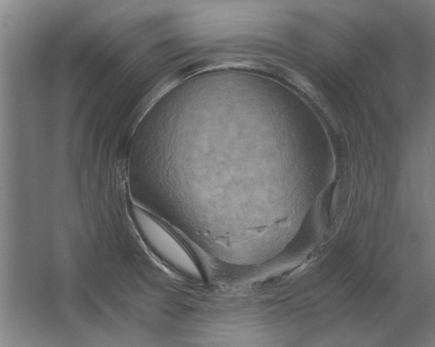 X0000063471377200602101729