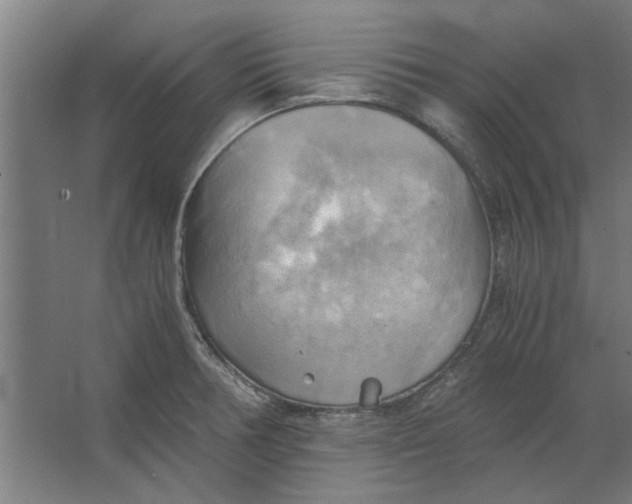 X0000063471378200602101729