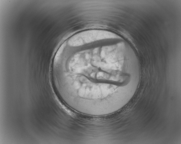 X0000063471379200602101729