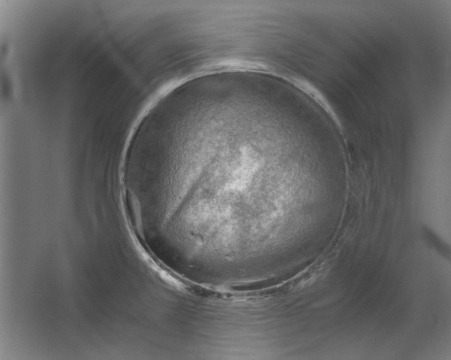 X0000063471381200602101729