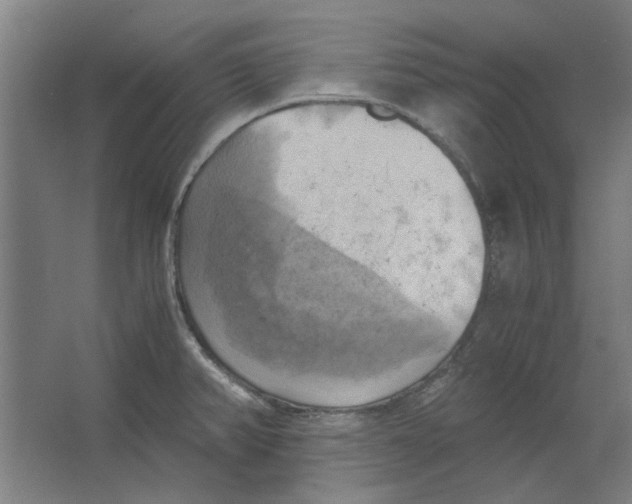 X0000063471382200602101729