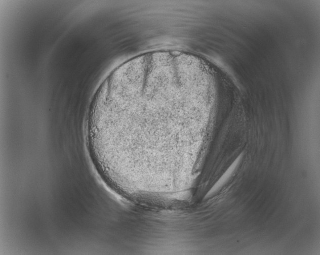 X0000063471383200602101729