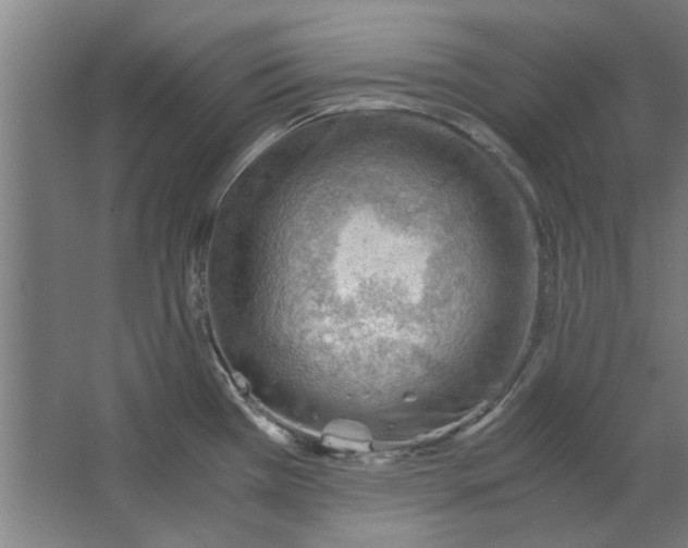 X0000063471385200602101729