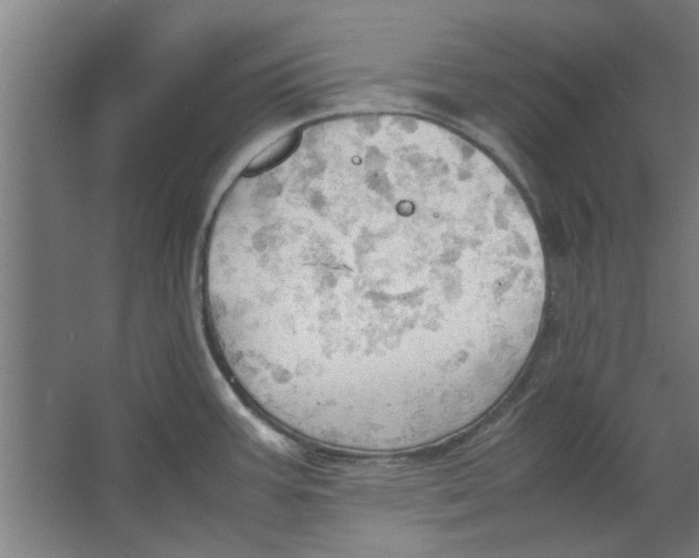 X0000063471387200602101729