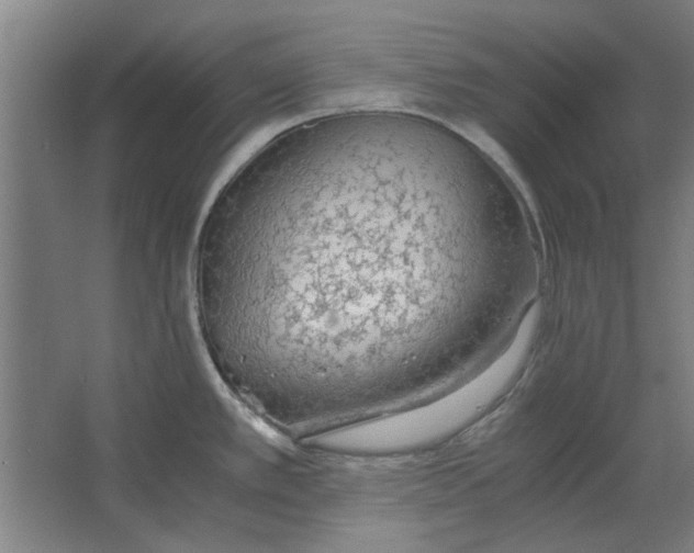 X0000063471389200602101729