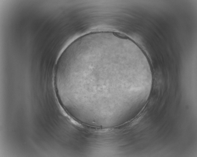 X0000063471390200602101729