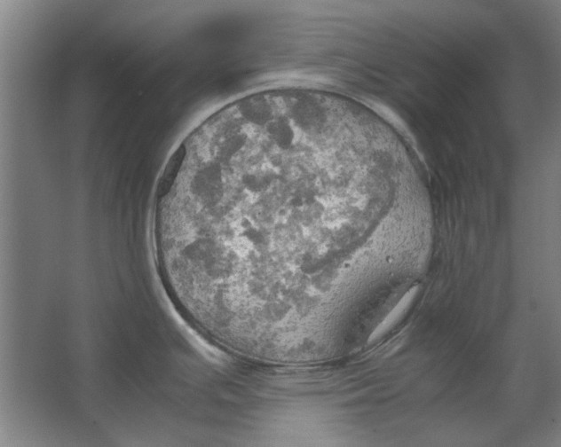 X0000063471391200602101729