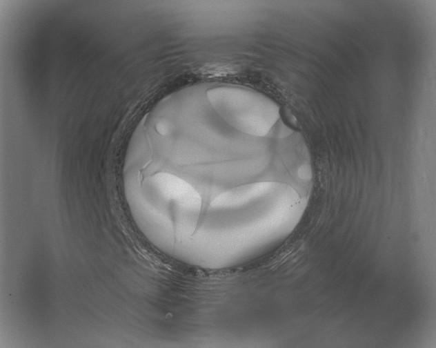 X0000063471393200602101728