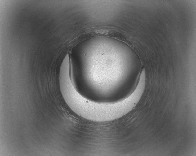 X0000063471394200602101728