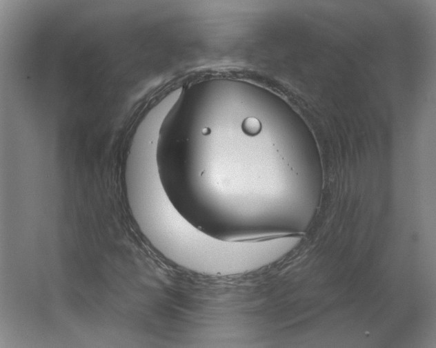 X0000063471398200602101728