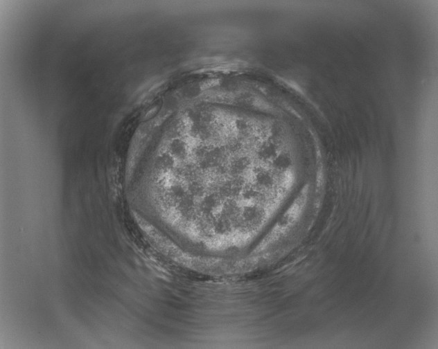 X0000063471399200602101728