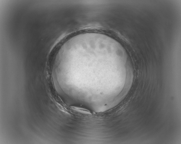 X0000063471400200602101728