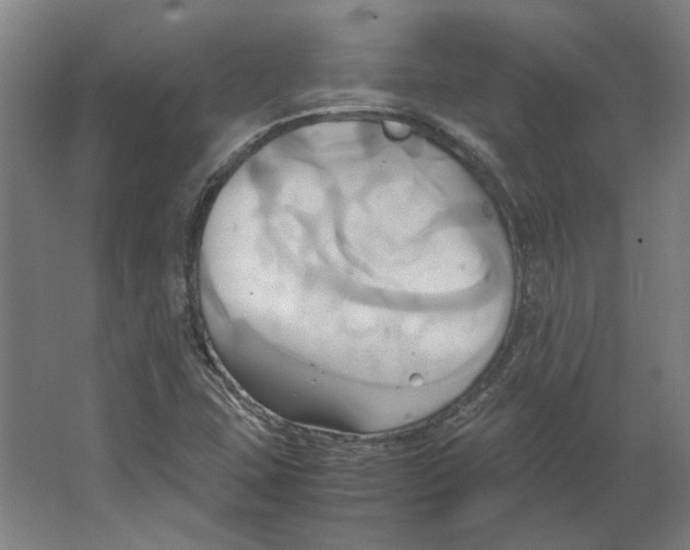 X0000063471407200602101728