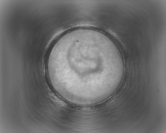 X0000063471408200602101728