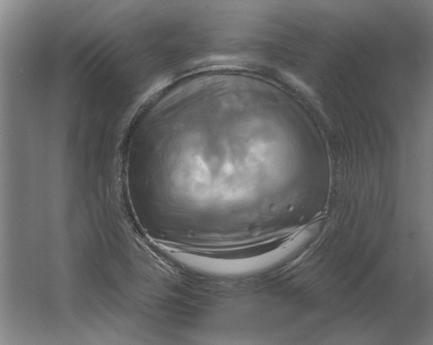 X0000063471411200602101728