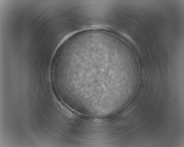 X0000063471412200602101728