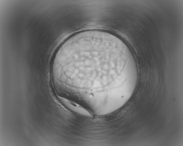 X0000063471415200602101728