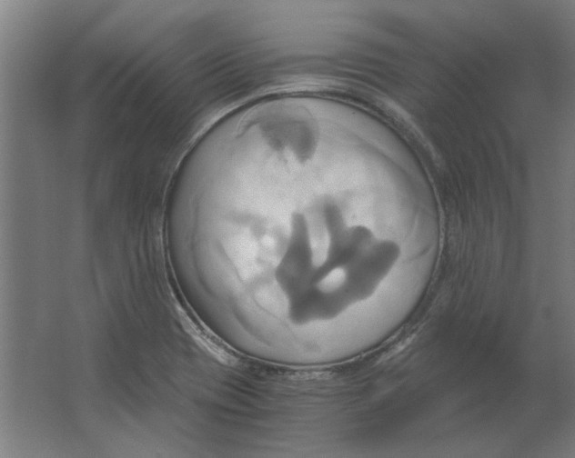 X0000063471417200602101728