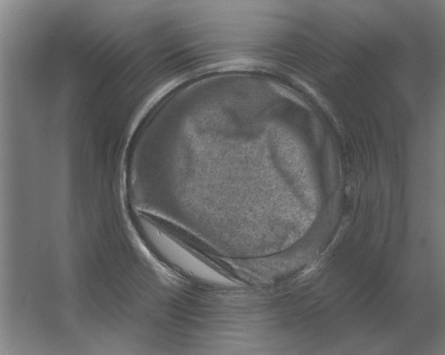 X0000063471418200602101728