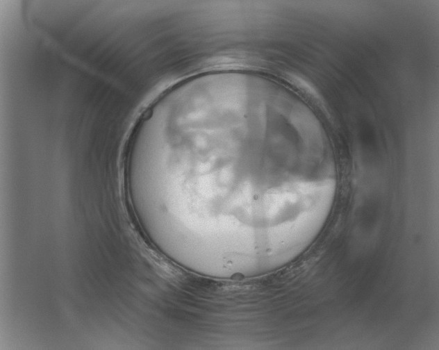 X0000063471419200602101729