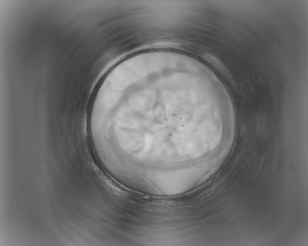 X0000063471420200602101729