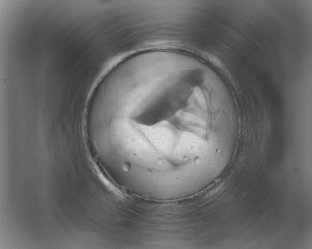 X0000063471421200602101729