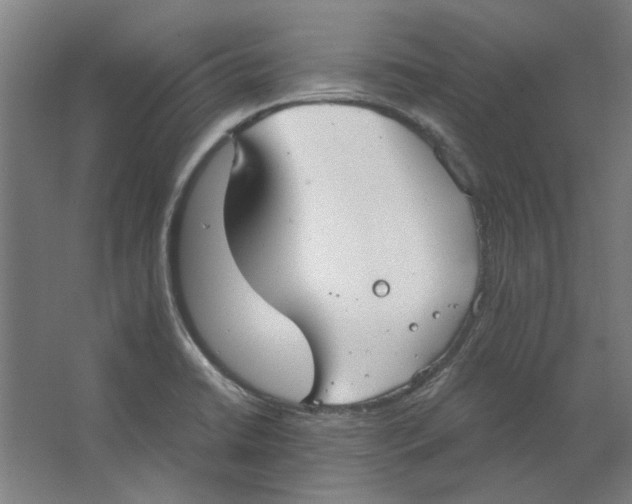 X0000063471422200602101729