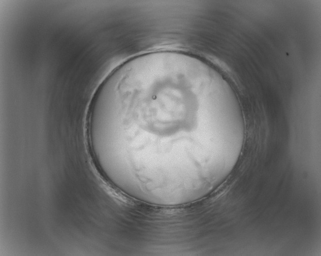 X0000063471423200602101729