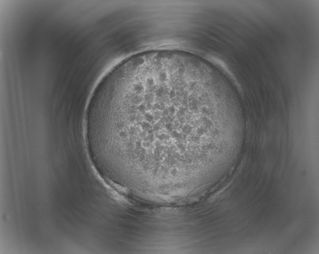 X0000063471424200602101729