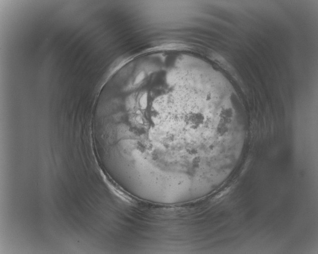 X0000063471425200602101729