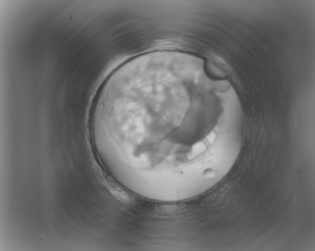 X0000063471427200602101729