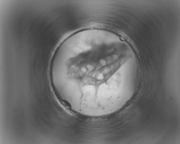 X0000063471429200602101729