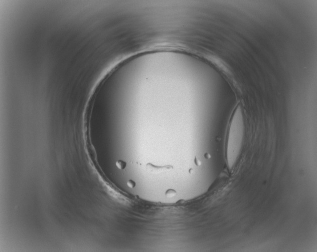 X0000063471430200602101729