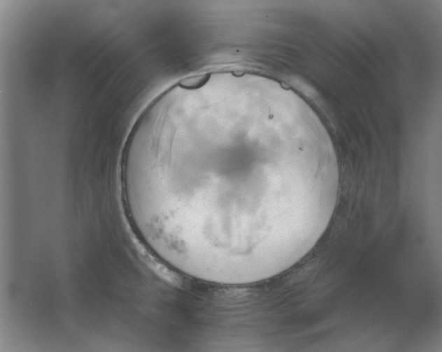 X0000063471431200602101729