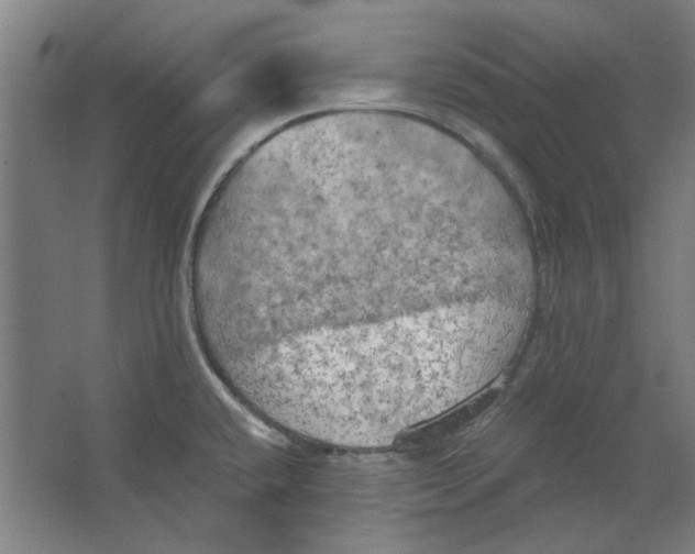 X0000063471432200602101729