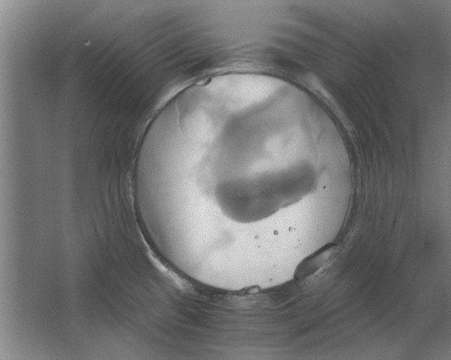 X0000063471433200602101729