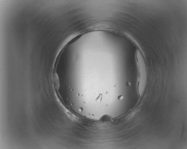 X0000063471434200602101729