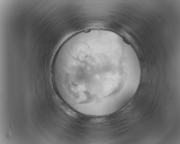 X0000063471435200602101729