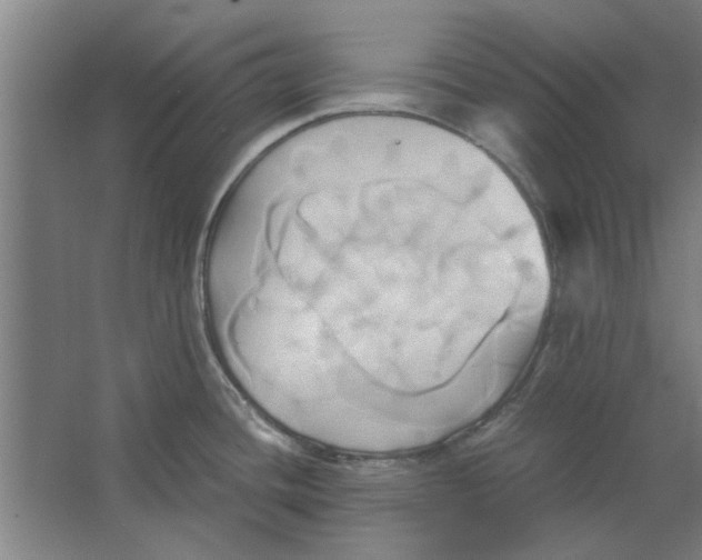 X0000063471436200602101729