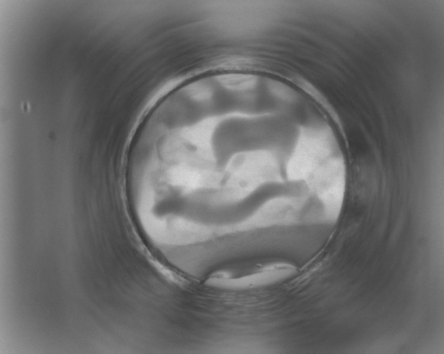 X0000063471437200602101729